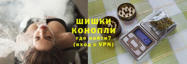 соль ск Алексин